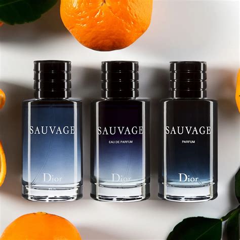 dior sauvage proben|dior sauvage website.